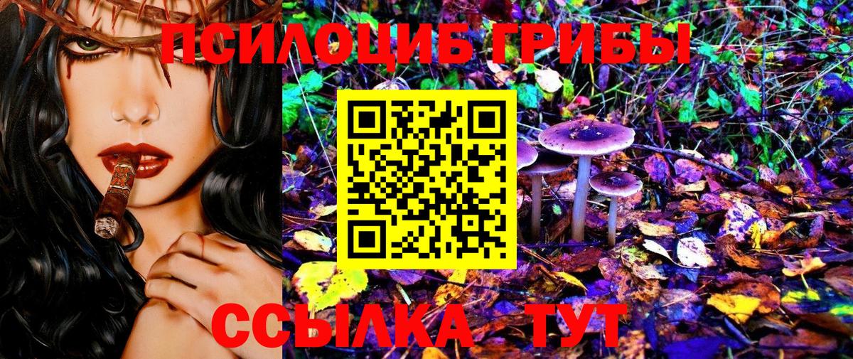 купить наркоту  Выборг  Галлюциногенные грибы ЛСД 